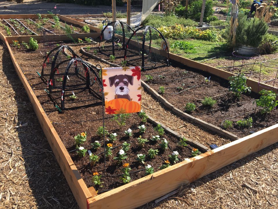 Gardenplot