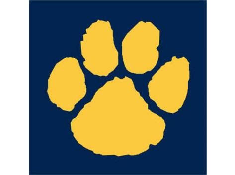 Tigerpaw