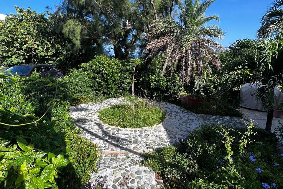 Img 0633