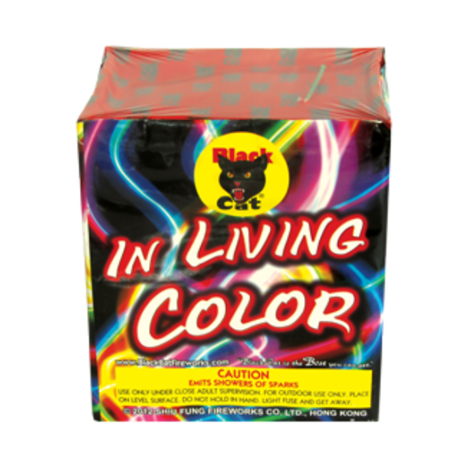 In living color cv
