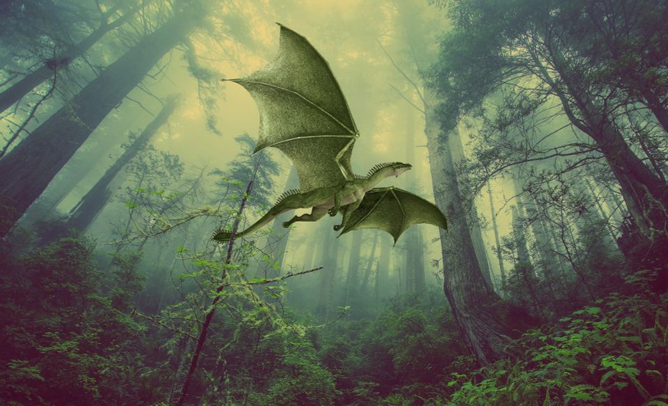 Dragon g3a05e4aee 1920