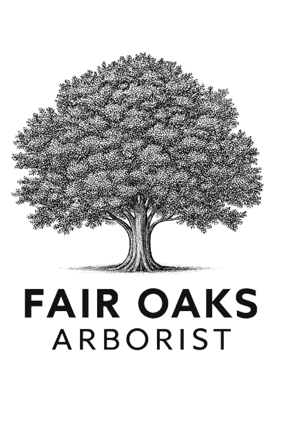 Fair Oaks Arborist