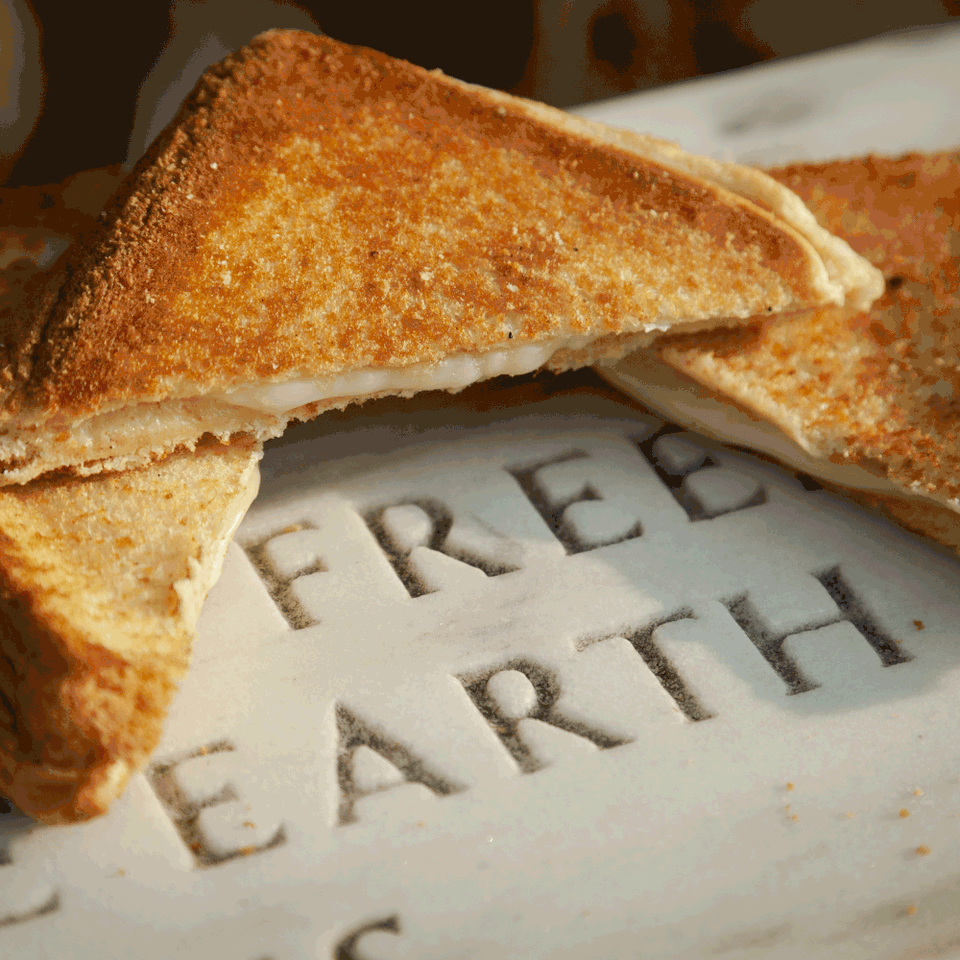 Grilledcheese close freeearth (1)