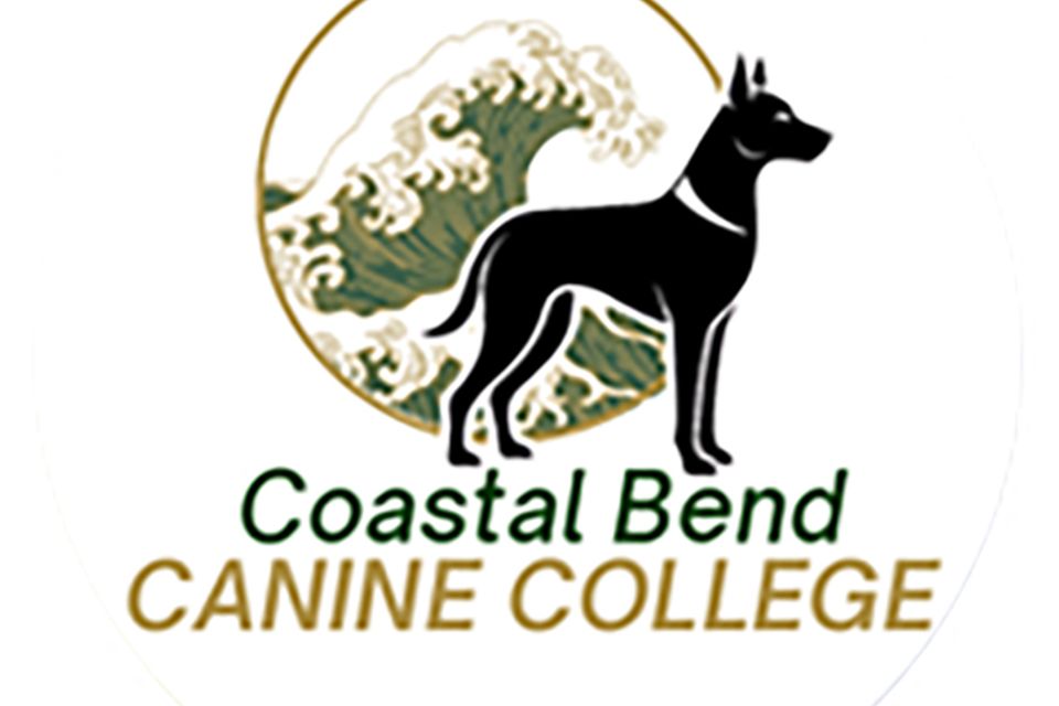 Facebook profile pic cbcc 2