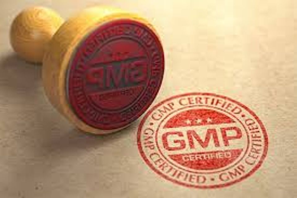 Vital gmp1