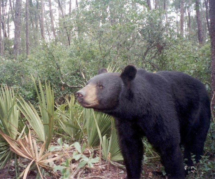 Screenshot 2026 02 23 at 11.02.57 am