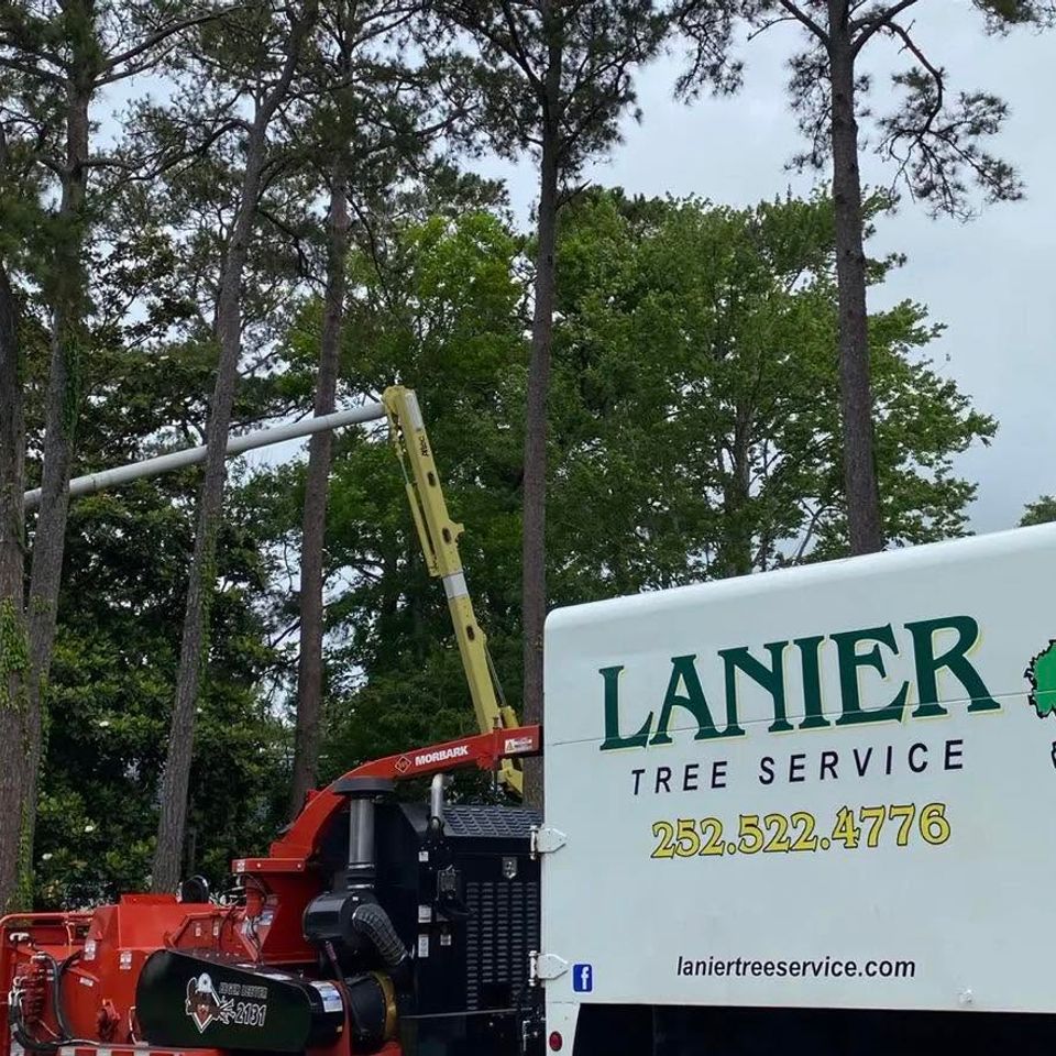Lanier Tree Service, Tree Removal near Kinston NC, Tree Services near Kinston NC, Tree Trimming, Tree Pruning, Stump Grinding, Tree Removal Services Near Me, Tree Trimming Near Me, Emergency Tree Services Near Me, Arborist Services Near Me, 