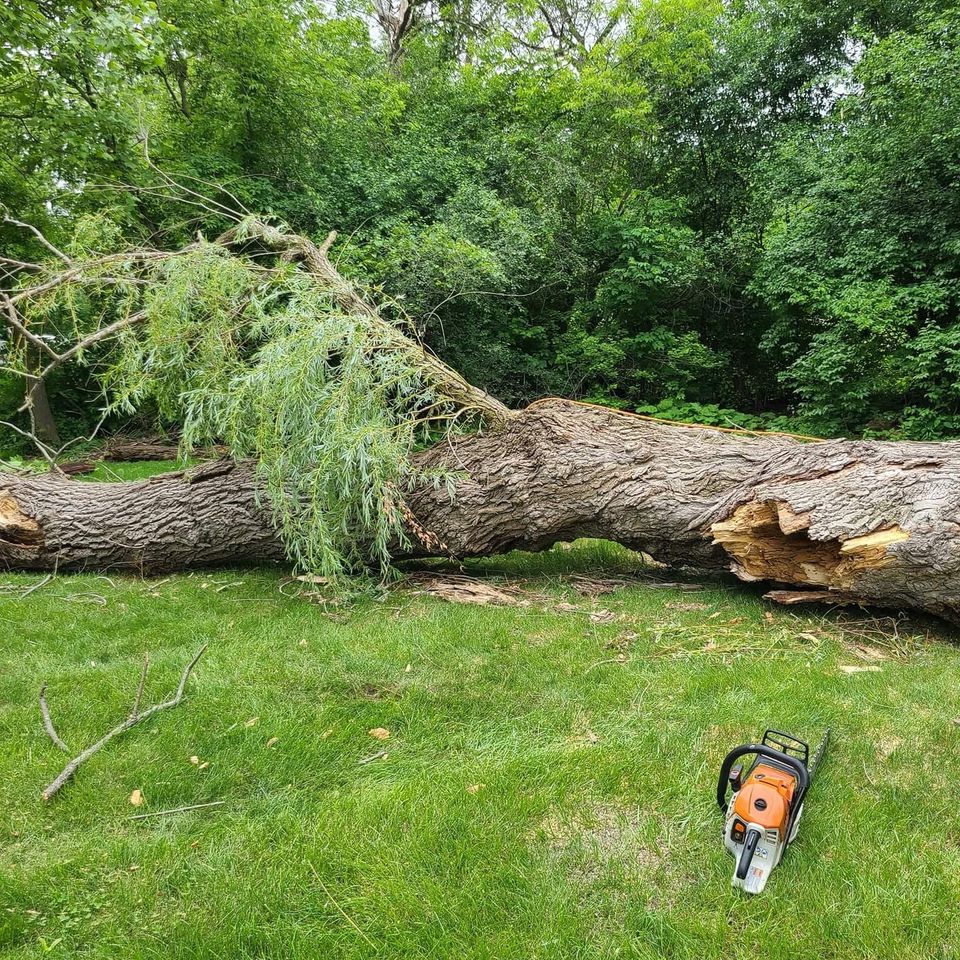 Storm damage min