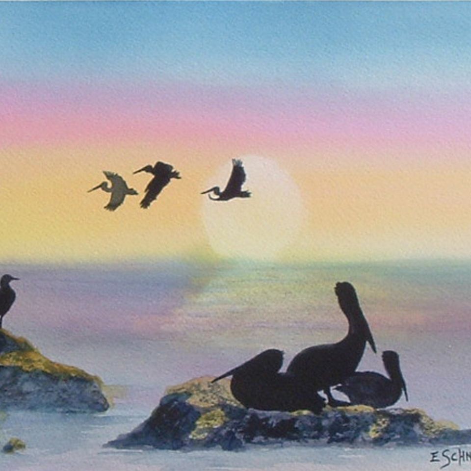 Pelicans waiting for the day