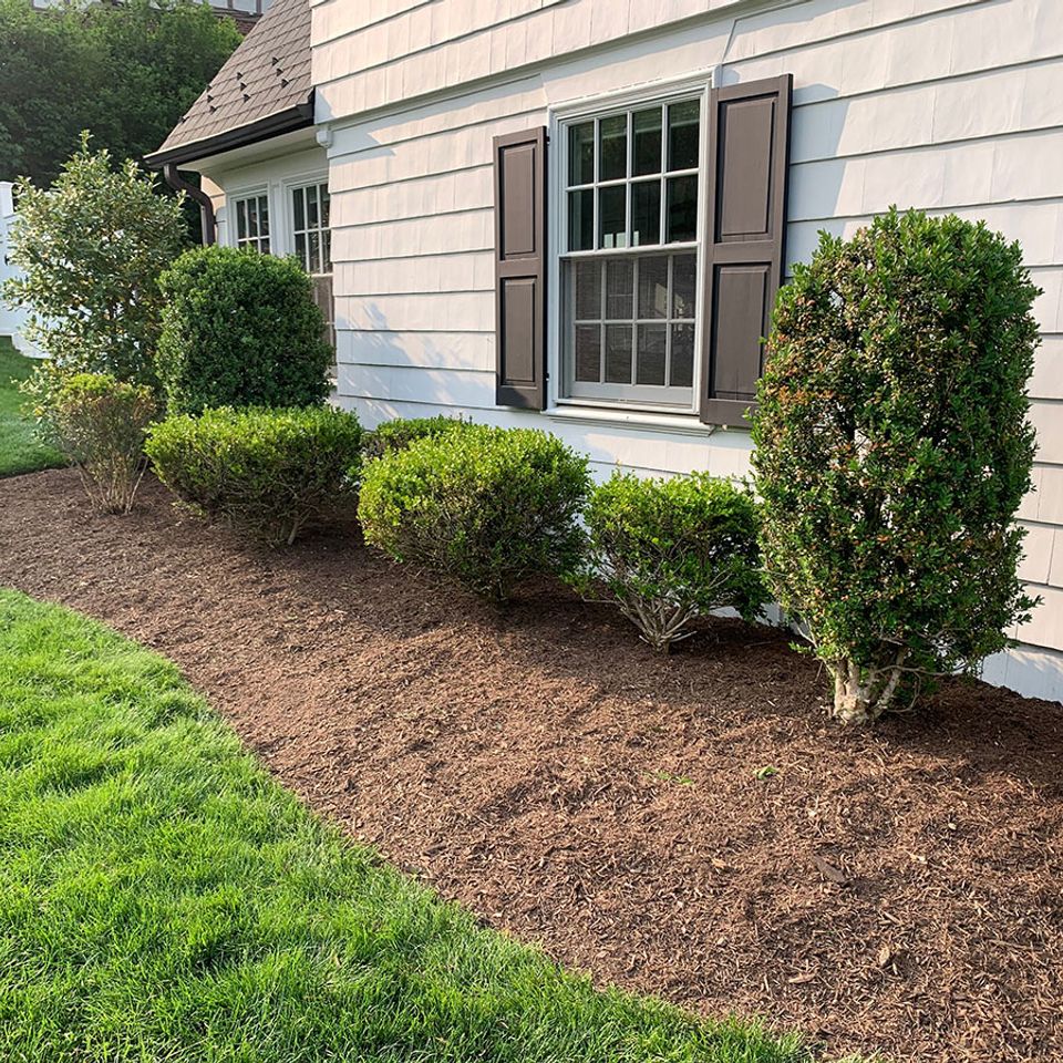 Silver streak lawn and landscaping 6