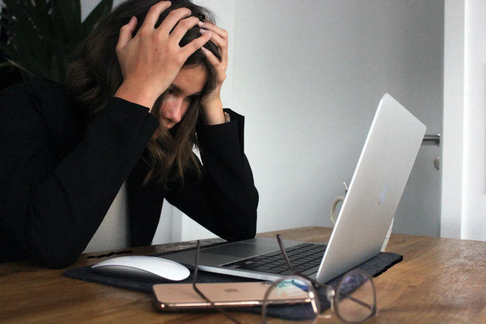 diy websites are bad for Professional Realtors