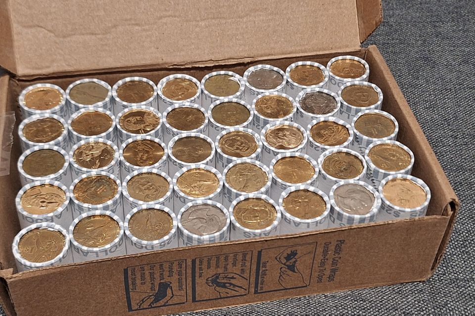 Dollar coin rolls 20250130 194934