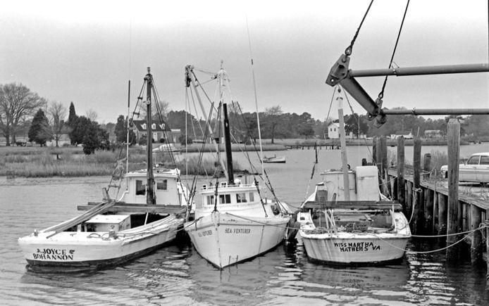 Mw270 oyster boats on mill creek  1977