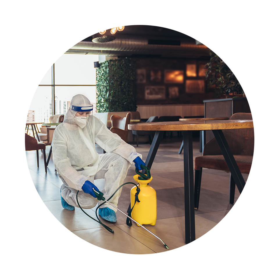 Icons restaurant professional