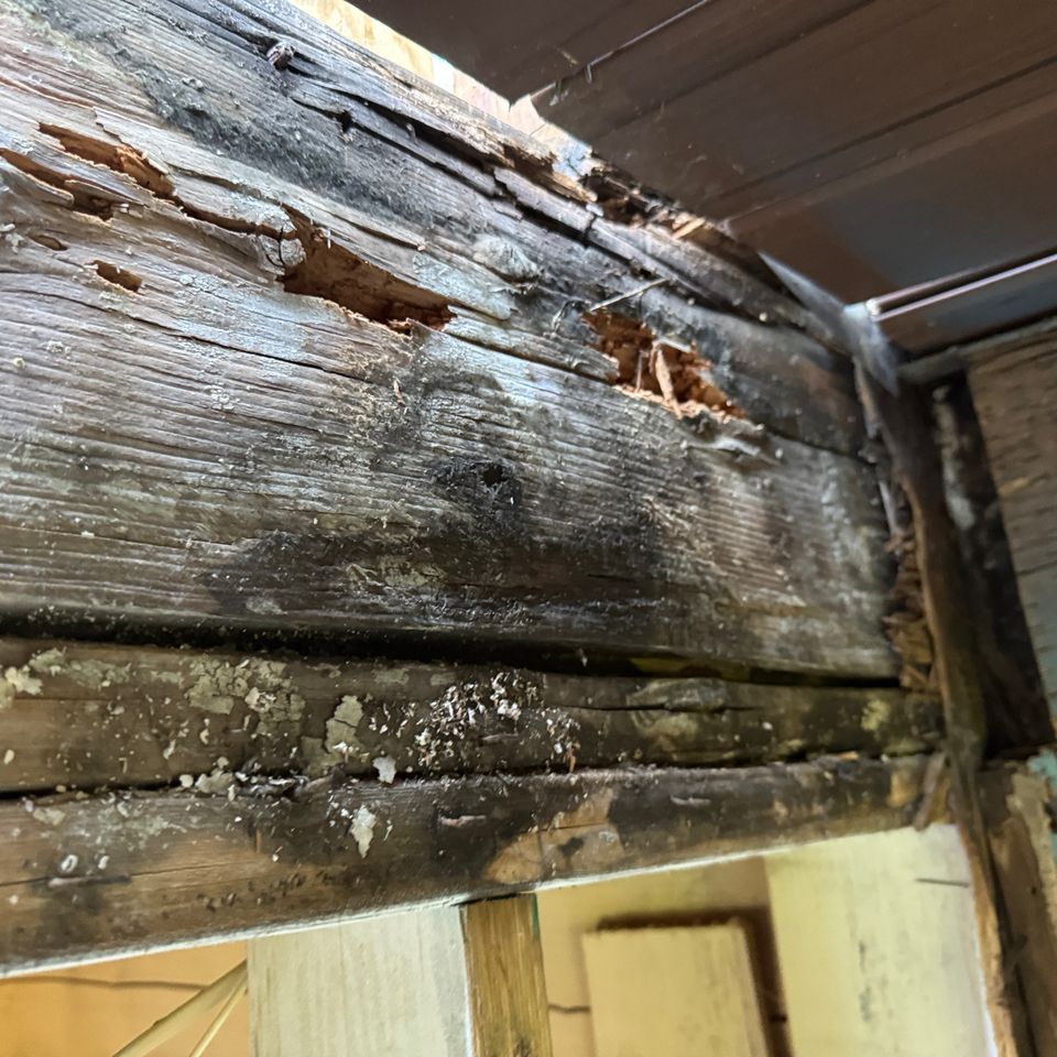 Chimney dry rot before6