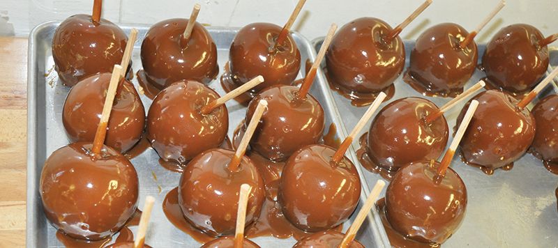 Orchard on 96th and meredith carmel apples (3)