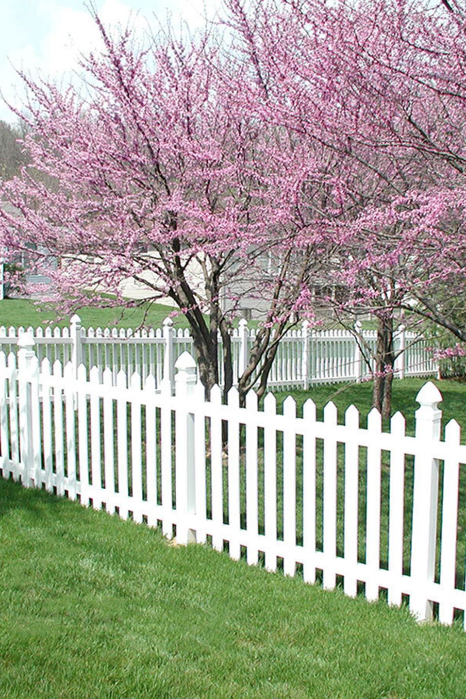 White picket fence installation in Burley Idaho