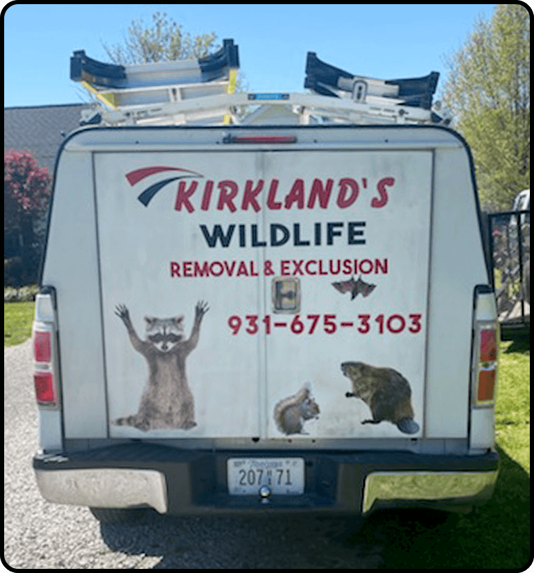 Kirkland wildlife truck