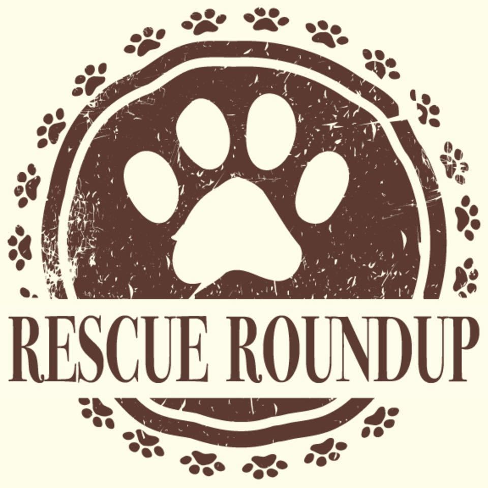 Nuredo magazine   tulsa oklahoma   living   fall home expo 2018   rescue roundup logo 2