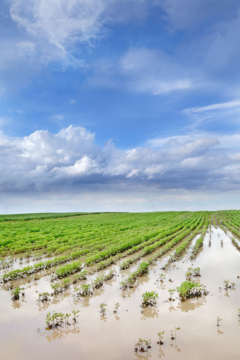 Istock 179233316