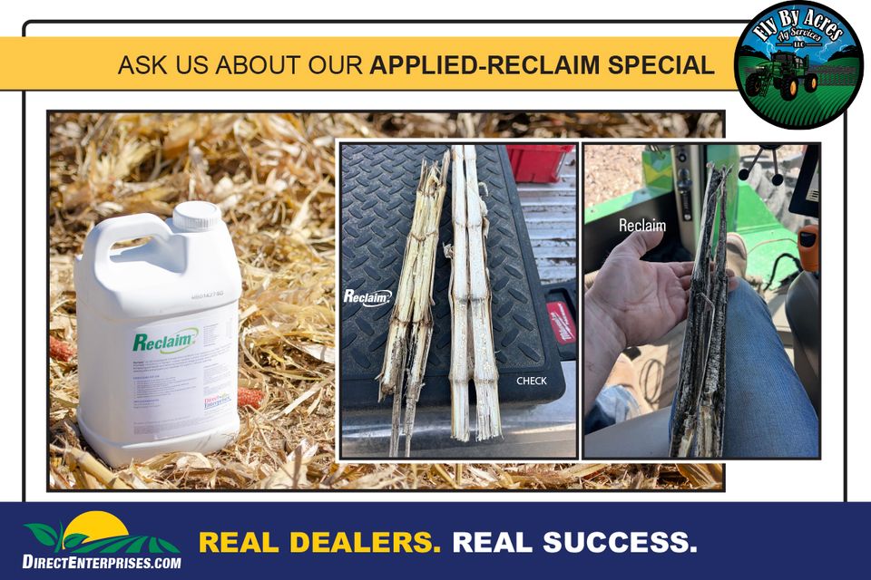 Fly by storyboards 20250823 8