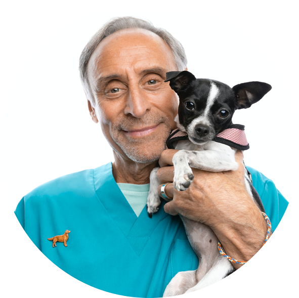Dr marty 1