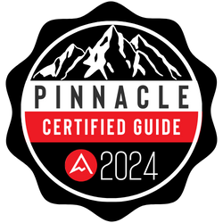 Certified pinnacle business guide 2024 web badge