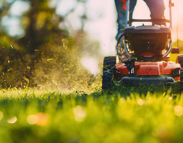 Lawn tools   equipment