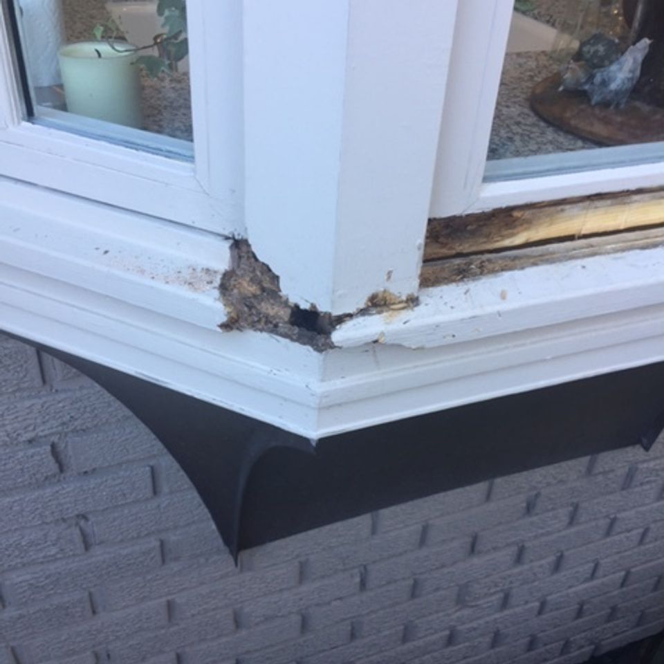 Wood rot repair specialists   window sill   img 306120170317 6169 i2dhs0