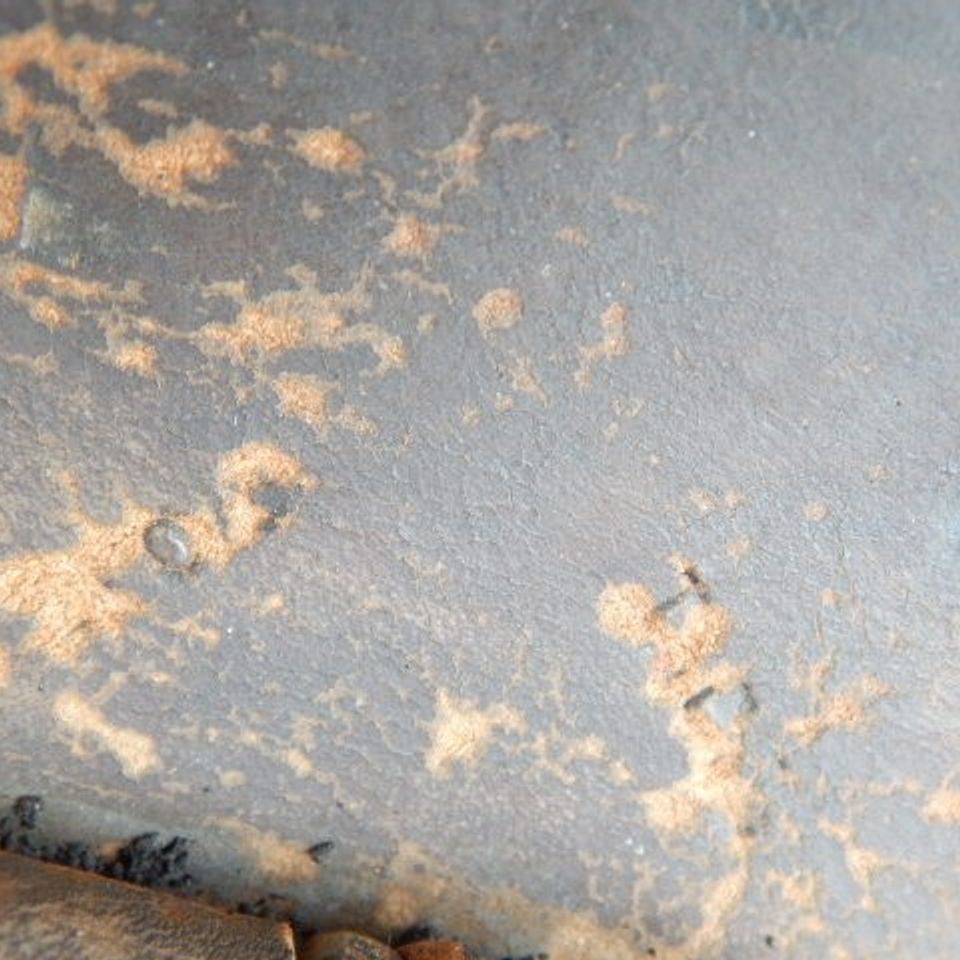 Dscn8558