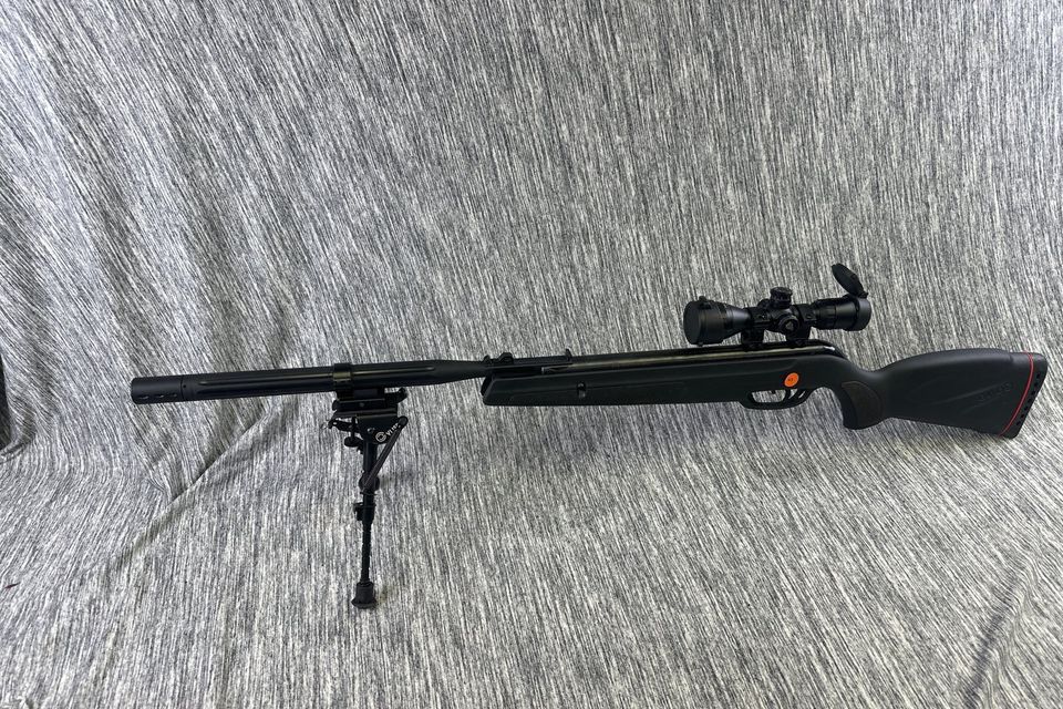 Pellet gun aug 28