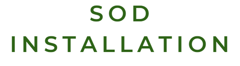 Screenshot 2025 10 22 095934