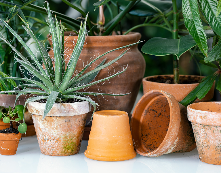 Pottery   planters