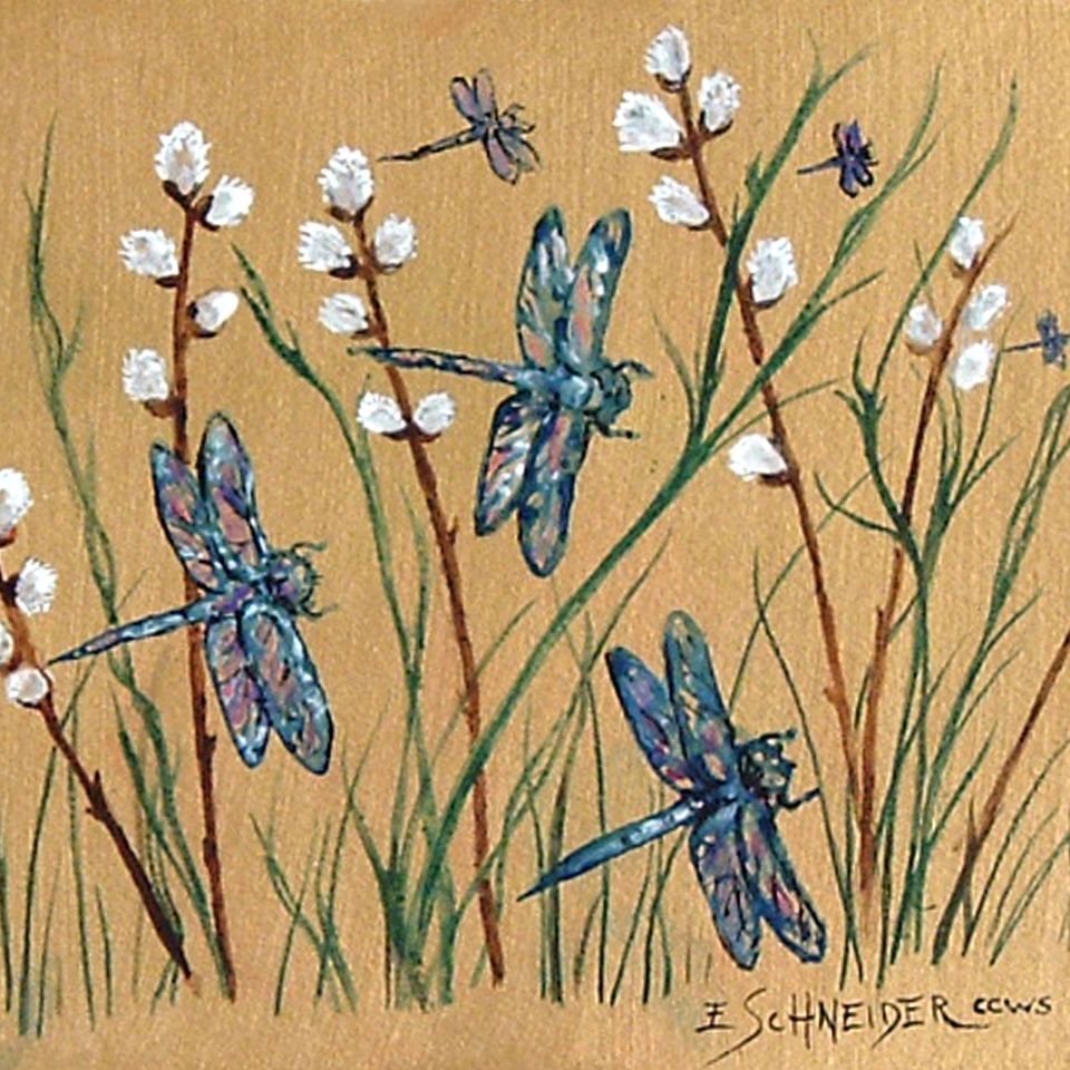 Dragonfly dance