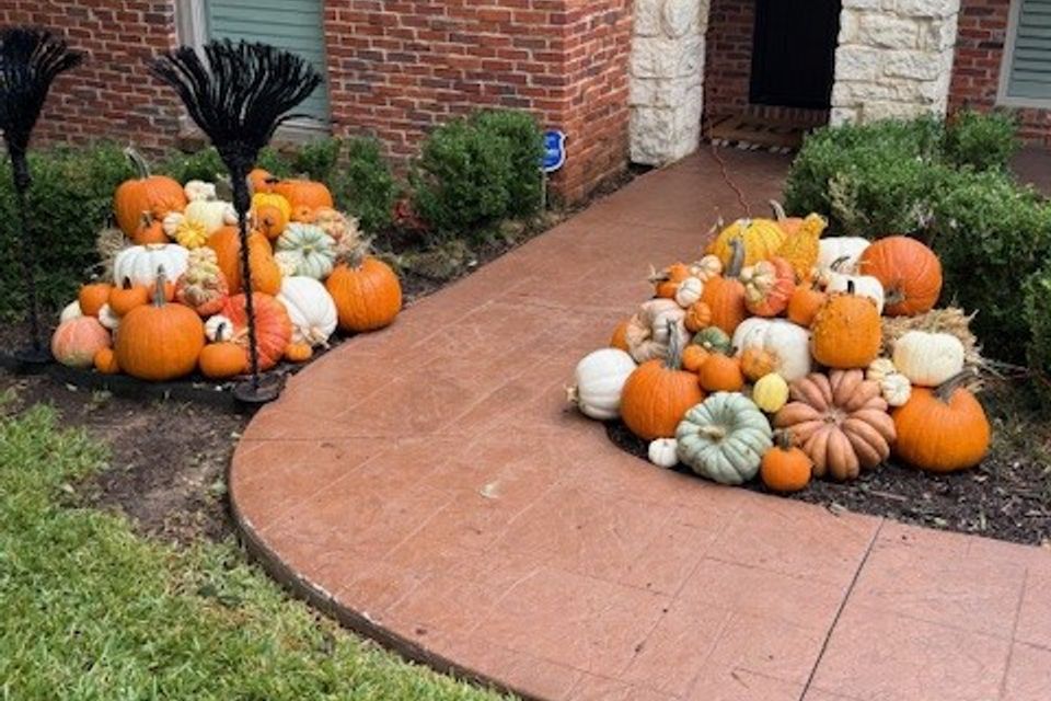 Pumpkin pic   cindy's house