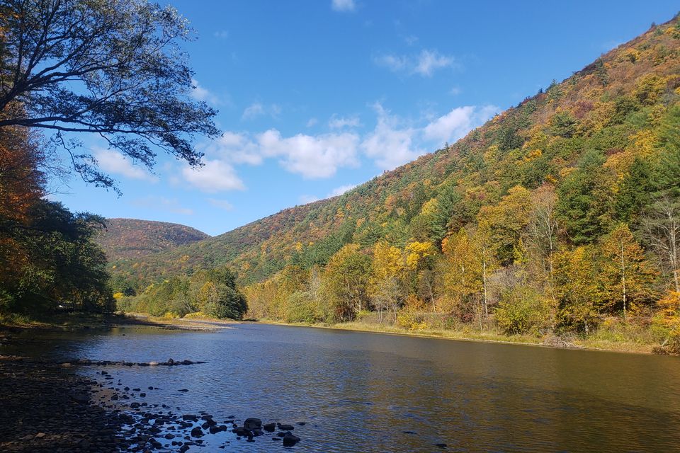 Pine Creek at Hamilton Bottom. 