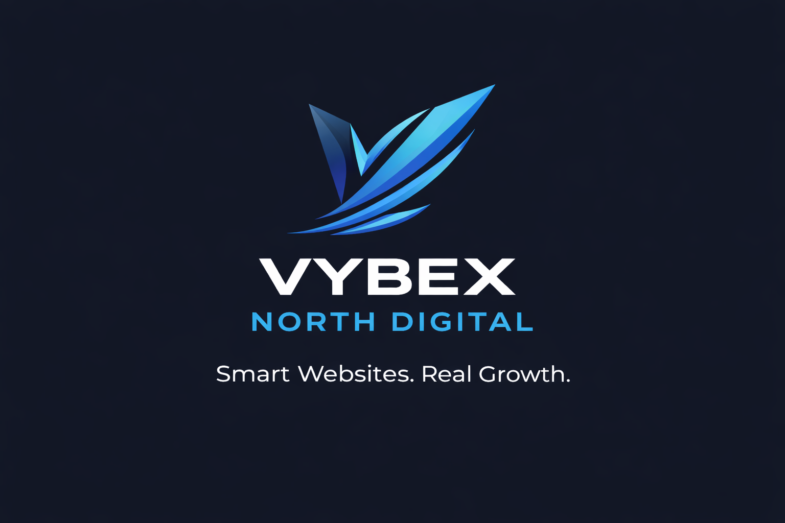 vybex North Digital 
