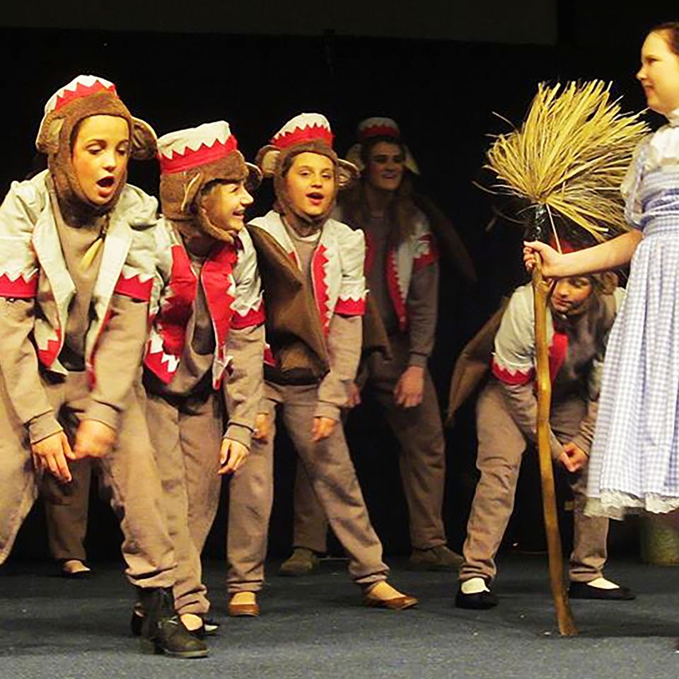 Chp wizard of oz