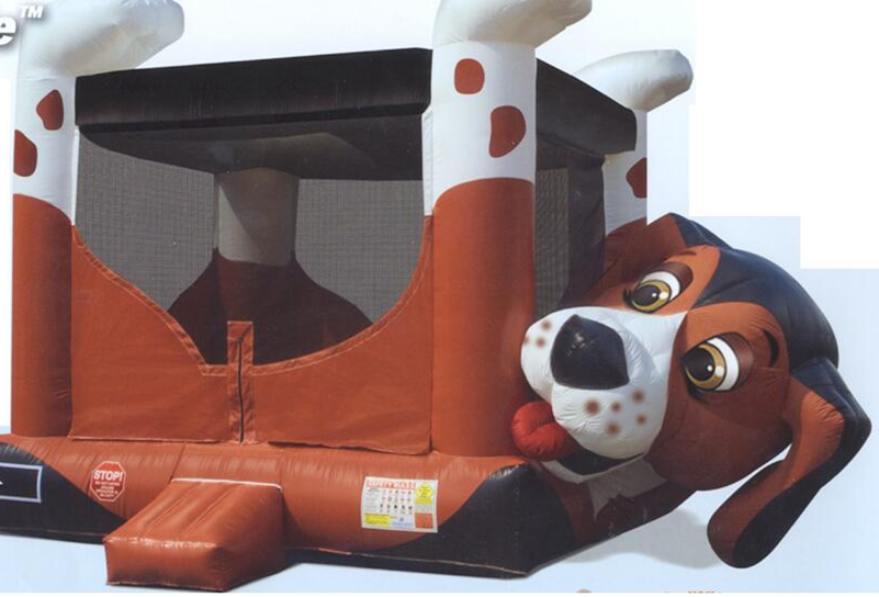 Beagle pup bounce
