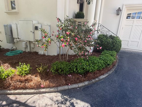 Fulchers Lawn and Garden La Grange NC, Landscaping Care La Grange, Kinston NC Landscaping Services, Goldsboro NC Landscaping Services, Kinston NC Landscaping Services, Morehead City Landscaping Services, 