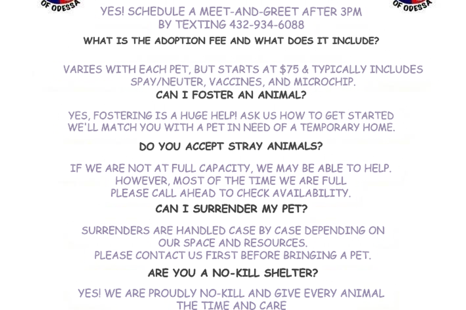 Faq1 original