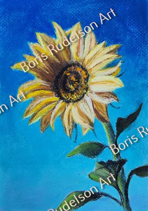 Pastel. Sunflower