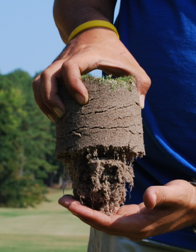 Soil Analysis, Enrichment, and Improvement in Brigham City UT