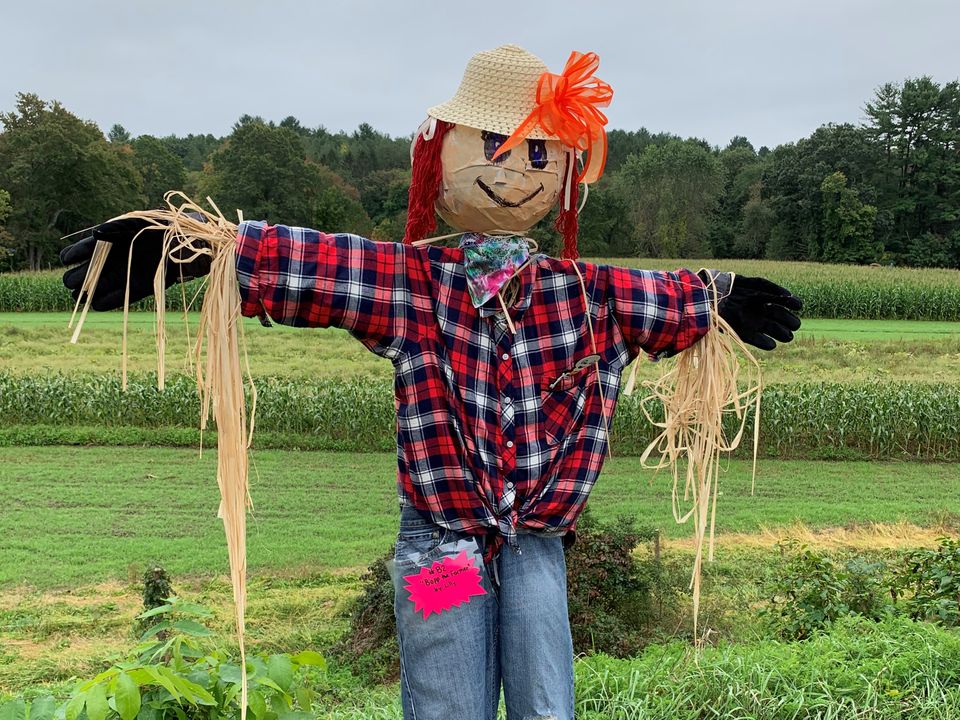 Farmer   copy(1)
