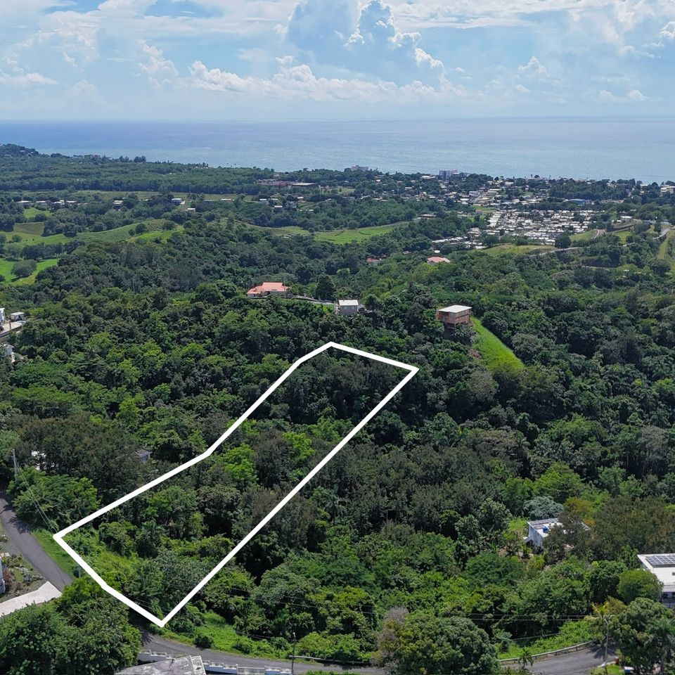 Dji 20251017133058 0878 d 2