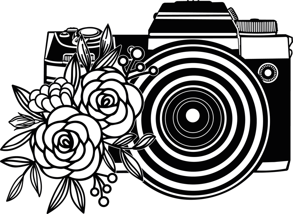 Profession   photographer camera 4 13