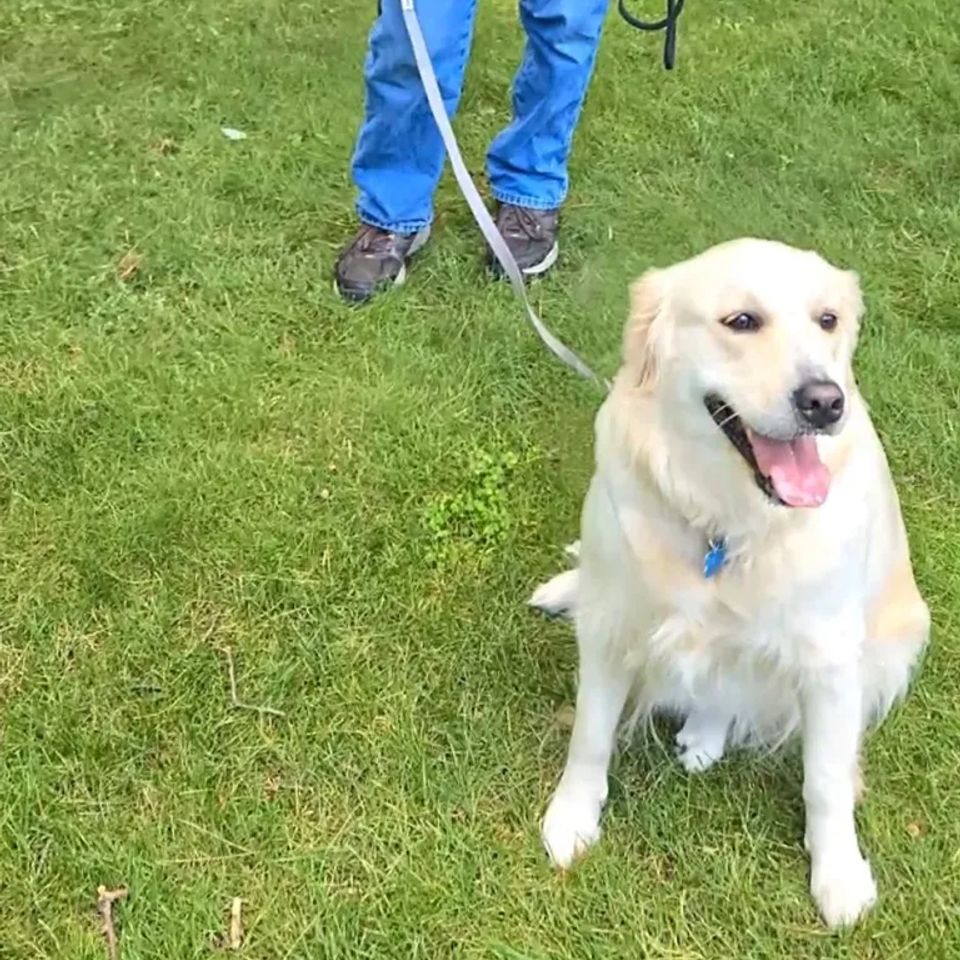 Screenshot 20241215 181348 photos