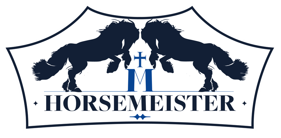 Horsemeister crown outline v8 transparent