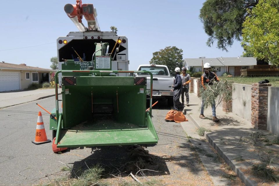 A blessing tree service 2694 action shot 4