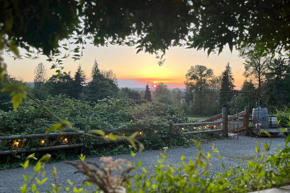 Lavenderatstillewatereventsoutsidesunset